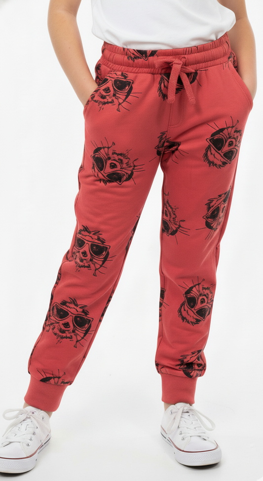 PEPCO LITTLE KIDS PRINTED TROUSER