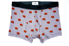 Mens printed boxers
