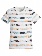 TOM TAILOR Men's T-shirt
