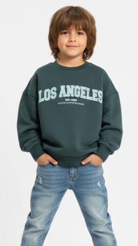 ROADWEAR BOYS PRINTED SWEATSHIRT