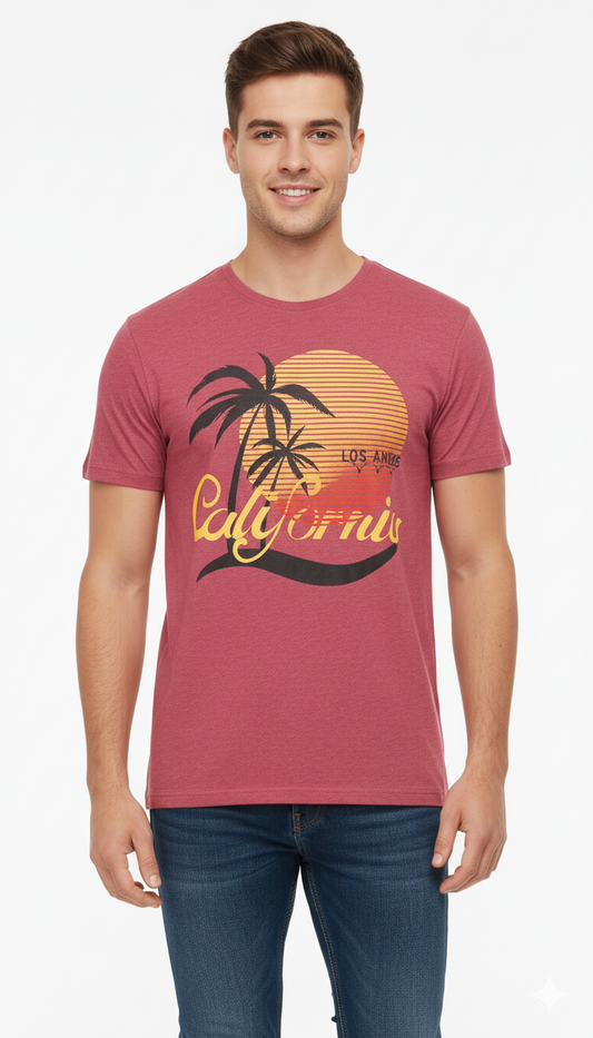 AAA CASUAL MENS GRAPHIC PRINT T SHIRT