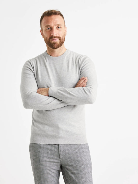 CEL Plain Vecrewflex Sweater