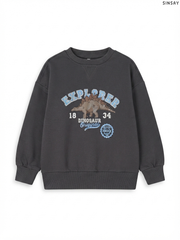 SINSAY Kids' Charcoal Grey "Explorer" Dinosaur Sweatshirt | Casual Activewear