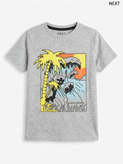 Kids' Grey "TROPICAL WAVES" T-Shirt – NEXT