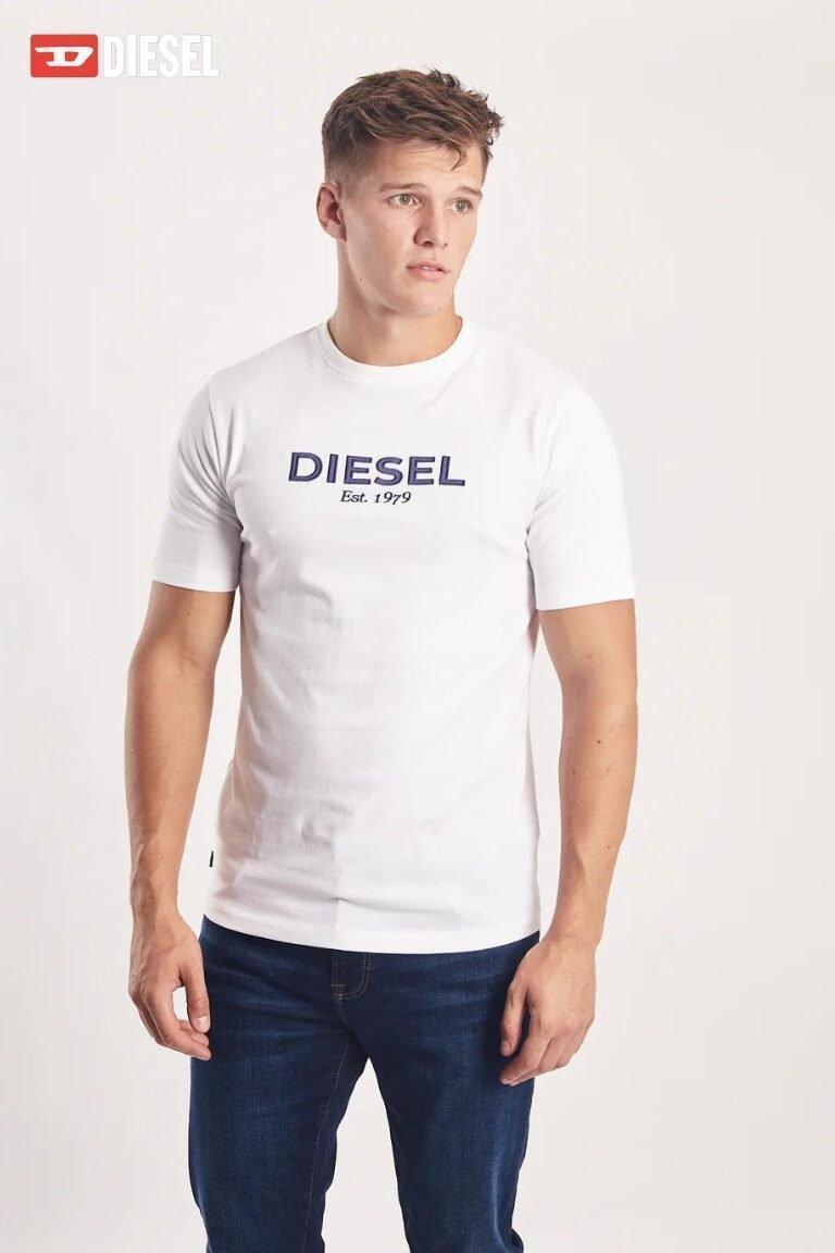 DIESEL NEWPORT TEE DOVE WHITE - Smgarment's