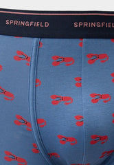 پرنٹ شدہ باکسر شارٹس