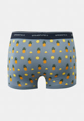 پرنٹ شدہ باکسر شارٹس