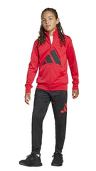 Essentials Big Logo Climacool Tracksuit - SMgarment's