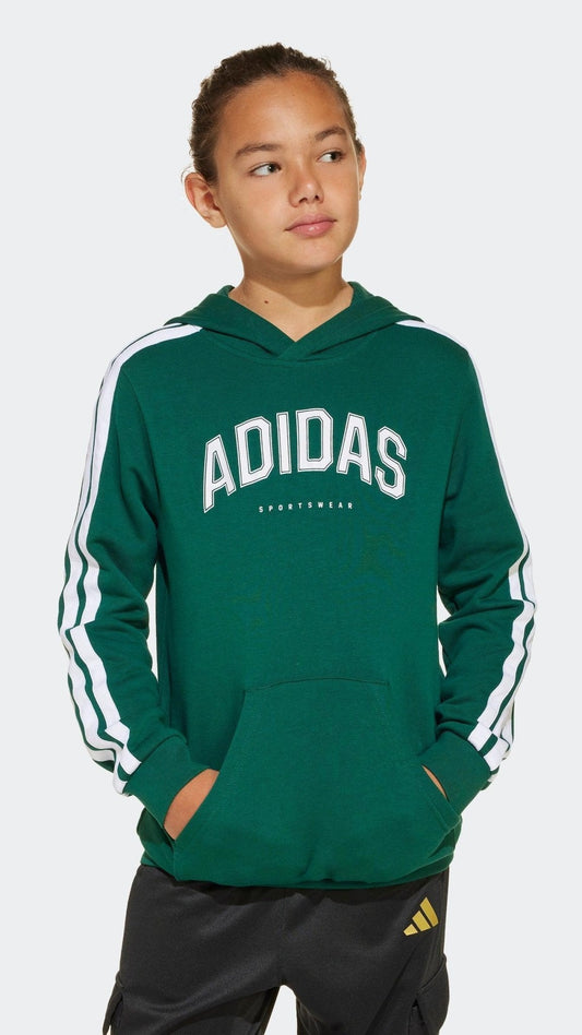 hooded sweatshirt WL SOFTS HOOD - SMgarment's