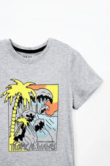 NEXT BOYS GRAY TEES - Smgarment's