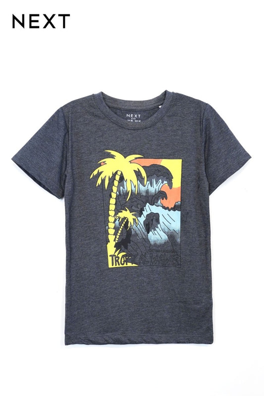 NEXT BOY'S PRINTED TEES - Smgarment's