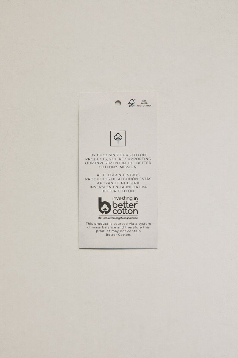 Springfield Colored Oxford shirt - Smgarment's