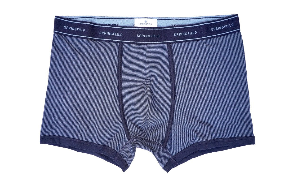 SPRINGFIELD MEN'S BLUE STRIPED BOXER - Smgarment's