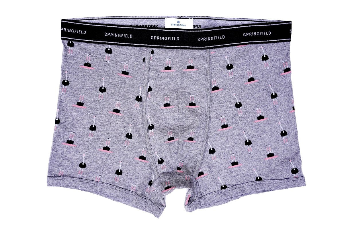SPRINGFIELD Men's ostrich print boxers (ONLY WITH OSTRICH PRINT ONE ) - Smgarment's