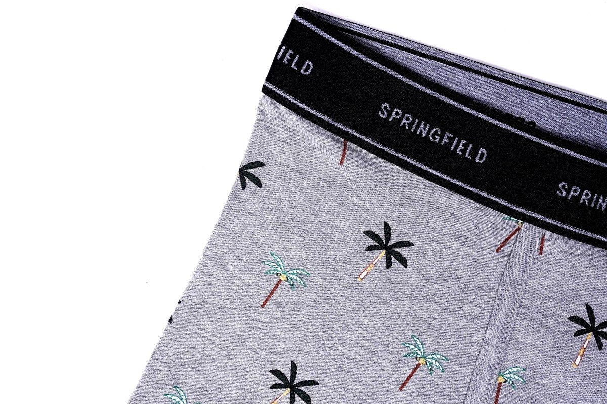 SPRINGFIELD Men's printed boxers - Smgarment's