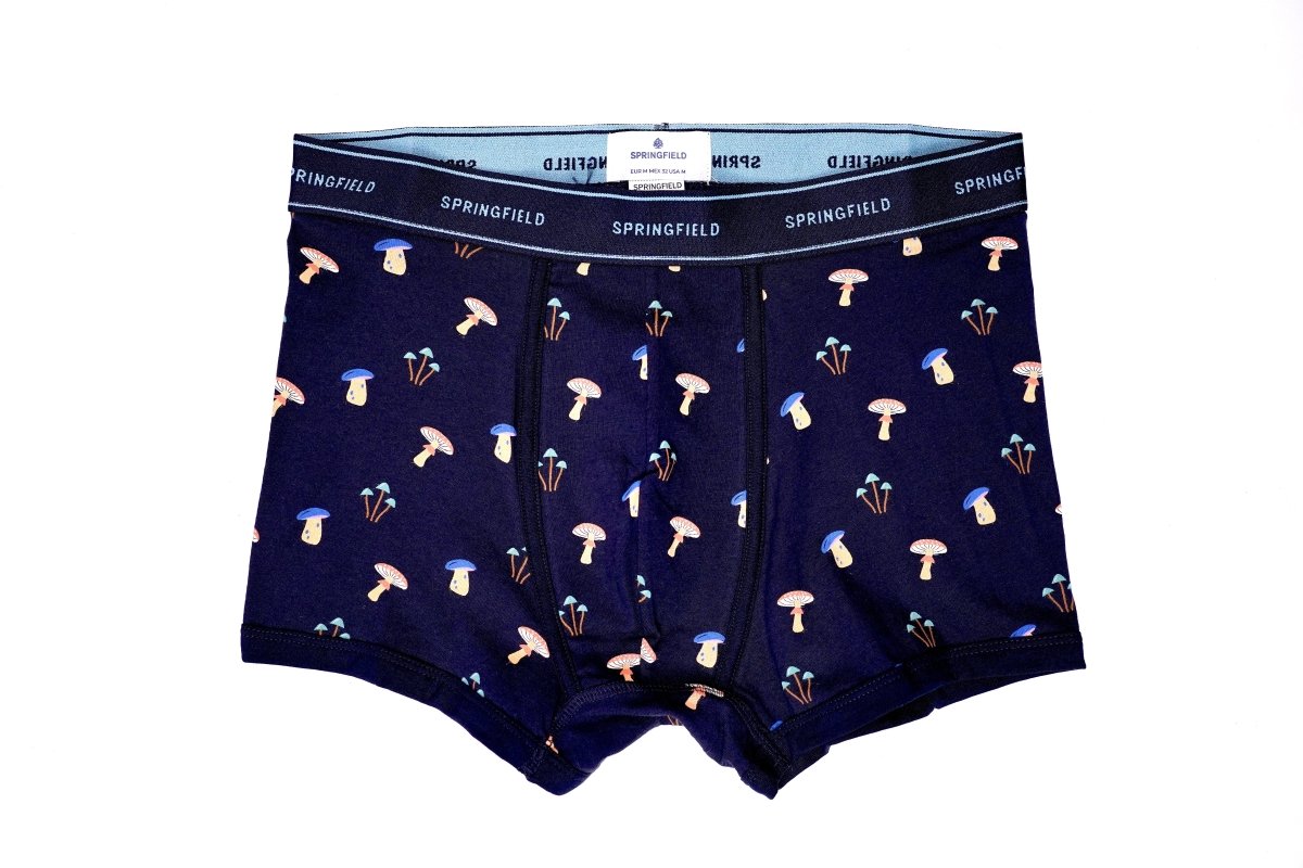 SPRINGFIELD Men's printed boxers - Smgarment's
