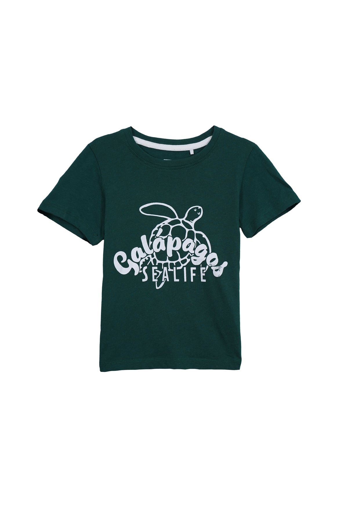 COOL CLUB Kids Dark Green Sea Turtle Ocean Graphic Tee
