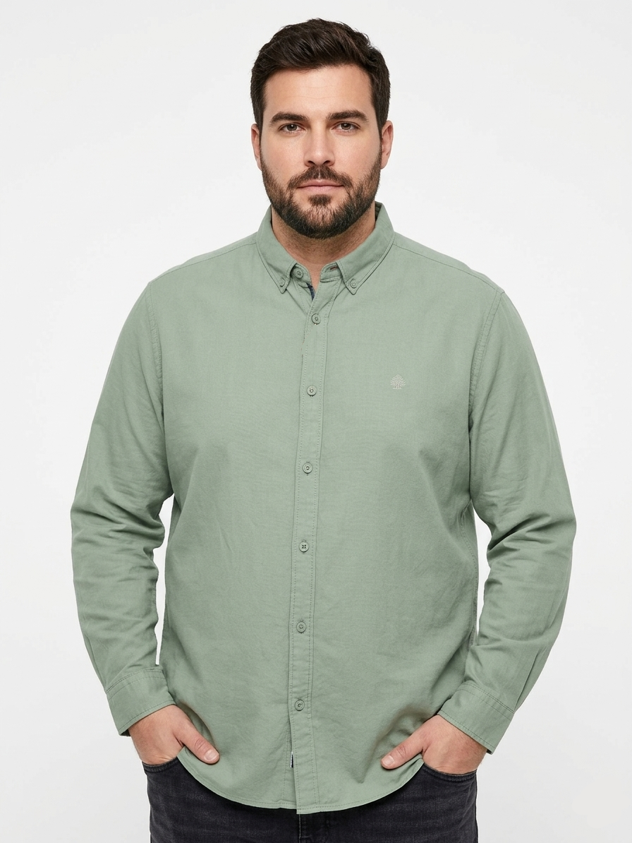 Men Regular Colored Shirt