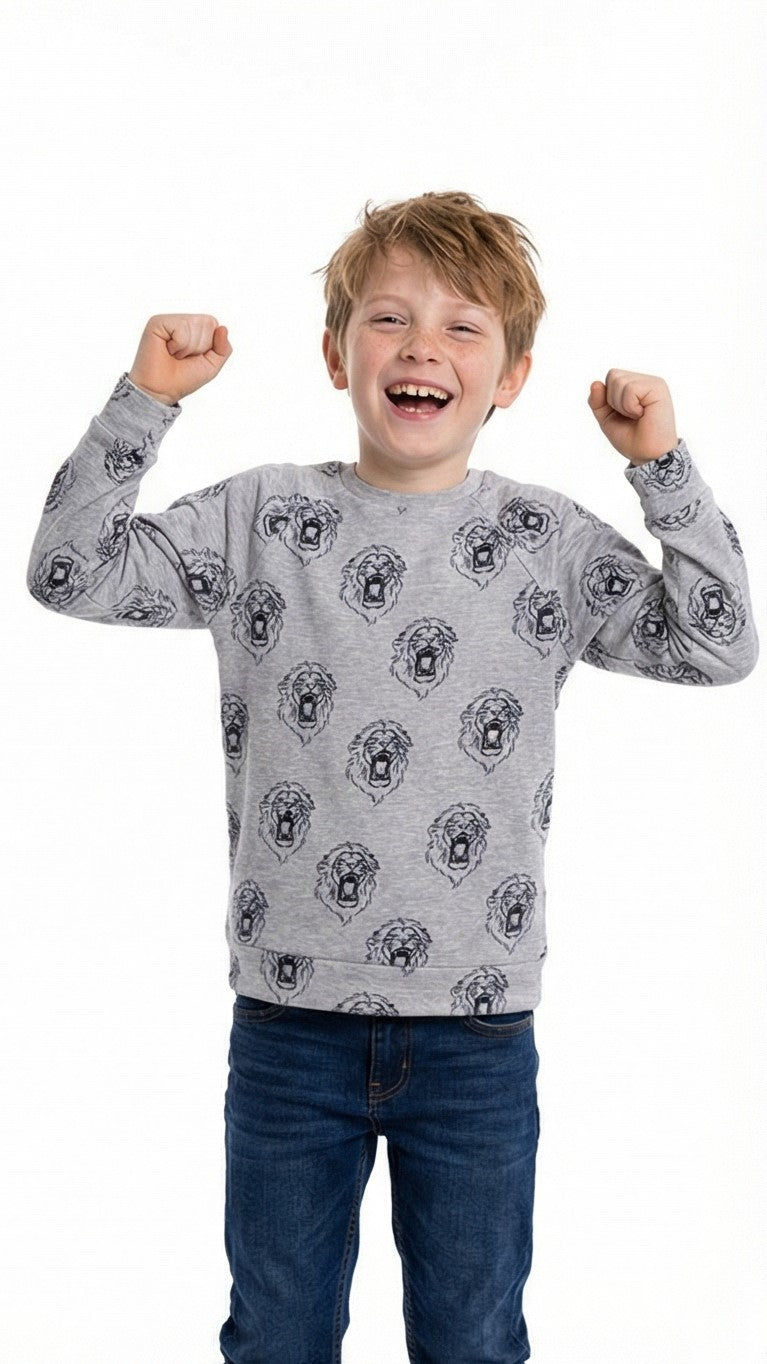 PRENATAL BOYS PRINTED SWEATSHIRT