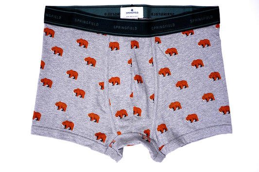 Mens printed boxers