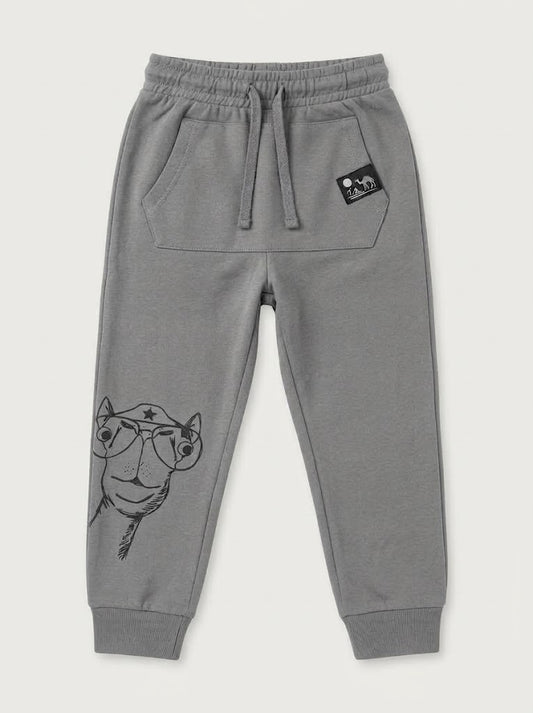 Boys' Casual Cotton Graphic Jogger Pants – Grey