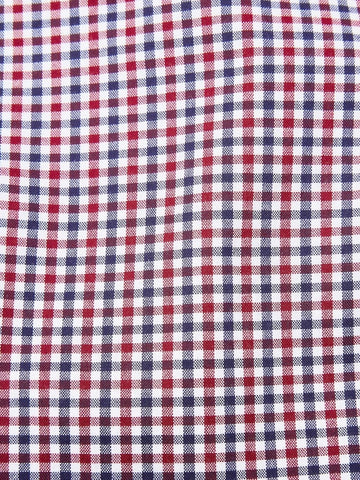 NXT Red Gingham Easy Iron Button Down Oxford Shirt