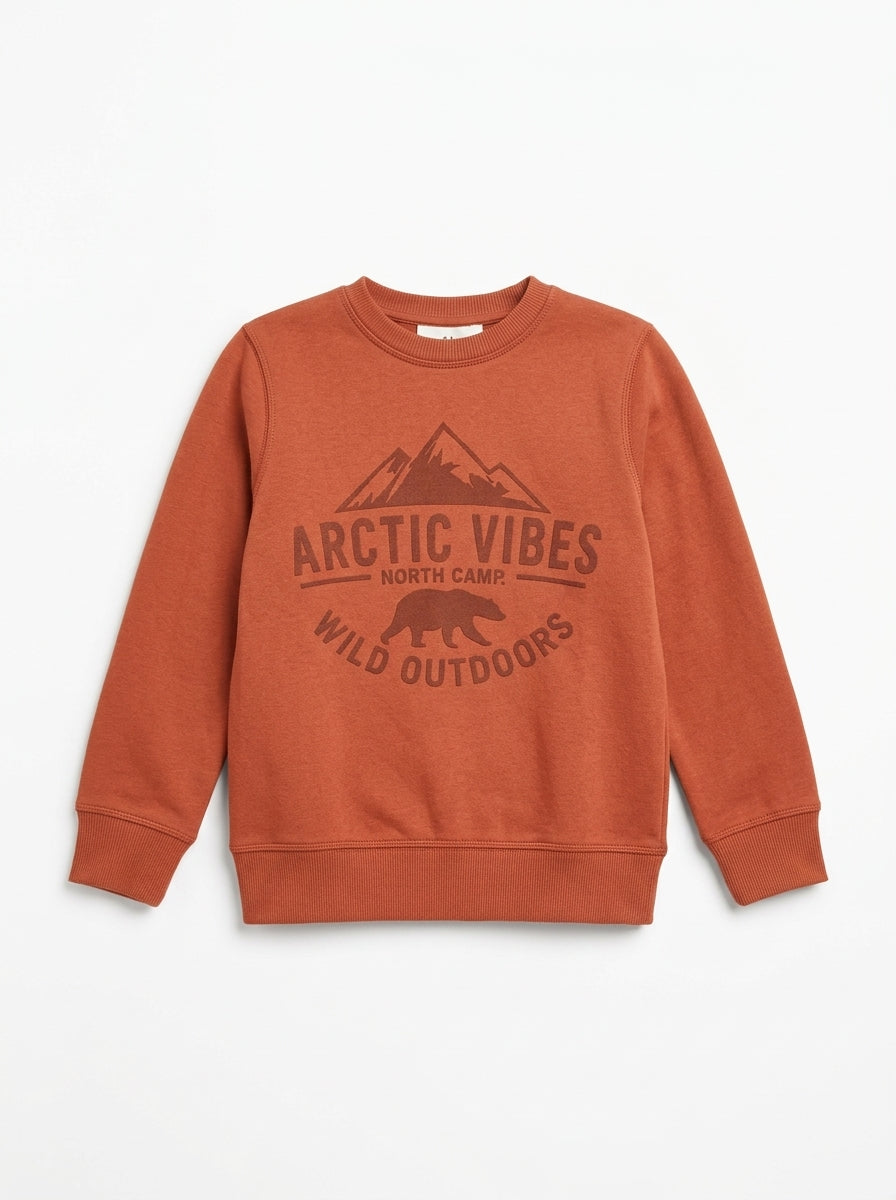 Boys' "Arctic Vibes" Graphic Sweatshirt – Terracotta Rust