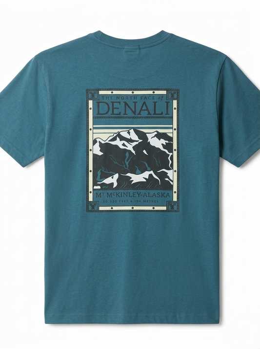 NORTH FACE Men Graphic T-Shirt – Teal Blue