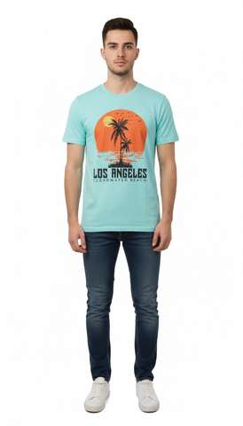 AAA CASUAL MENS GRAPHIC PRINT T SHIRT