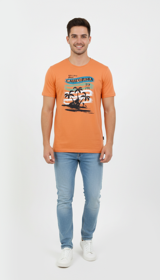 AAA CASUAL MENS GRAPHIC PRINT T SHIRT