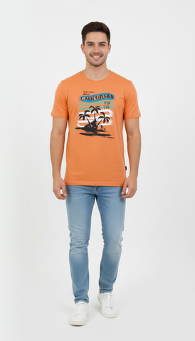 AAA CASUAL MENS GRAPHIC PRINT T SHIRT