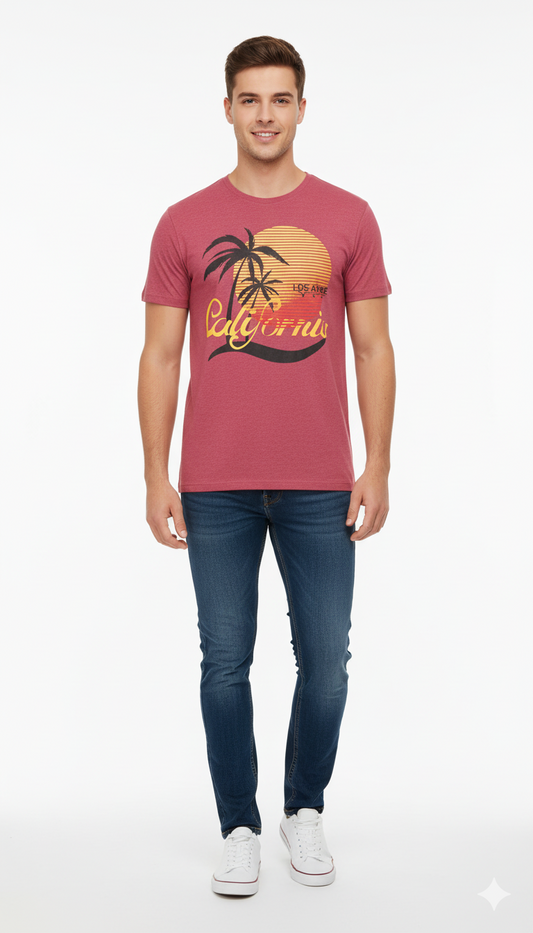 AAA CASUAL MENS GRAPHIC PRINT T SHIRT