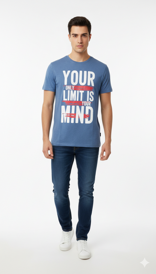 AAA CASUAL MENS GRAPHIC PRINT T SHIRT