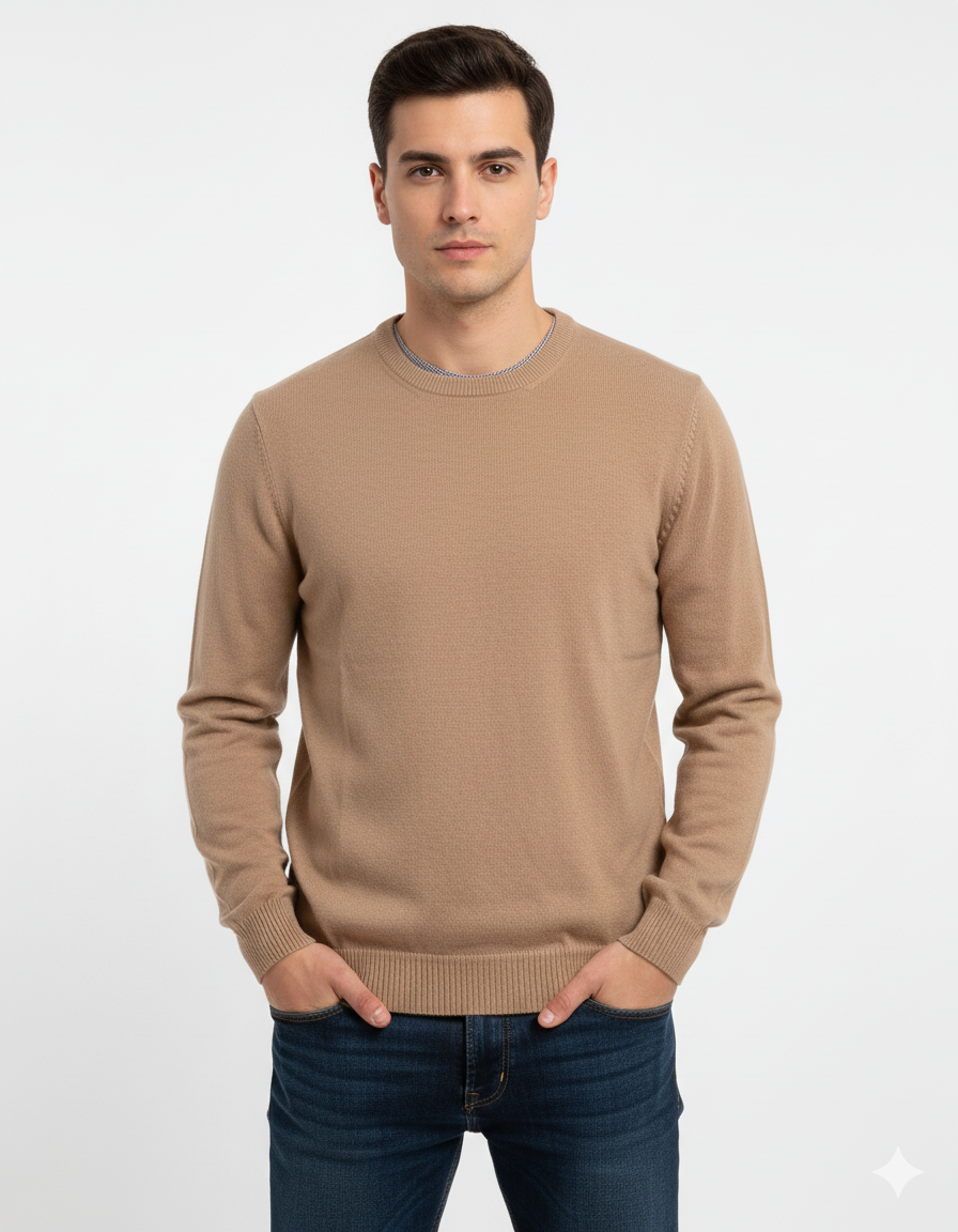 SFERA MEN BASIC REGULAR FIT SWEATER
