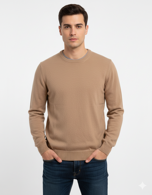 SFERA MEN BASIC REGULAR FIT SWEATER