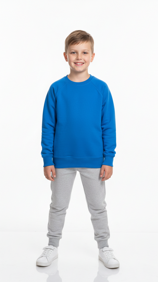 ZR BOYS ROYAL BLUE BASIC SWEATSHIRT