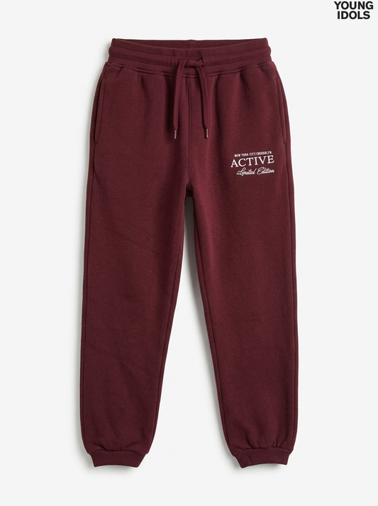Kids Graphic Fleece Joggers - Burgundy