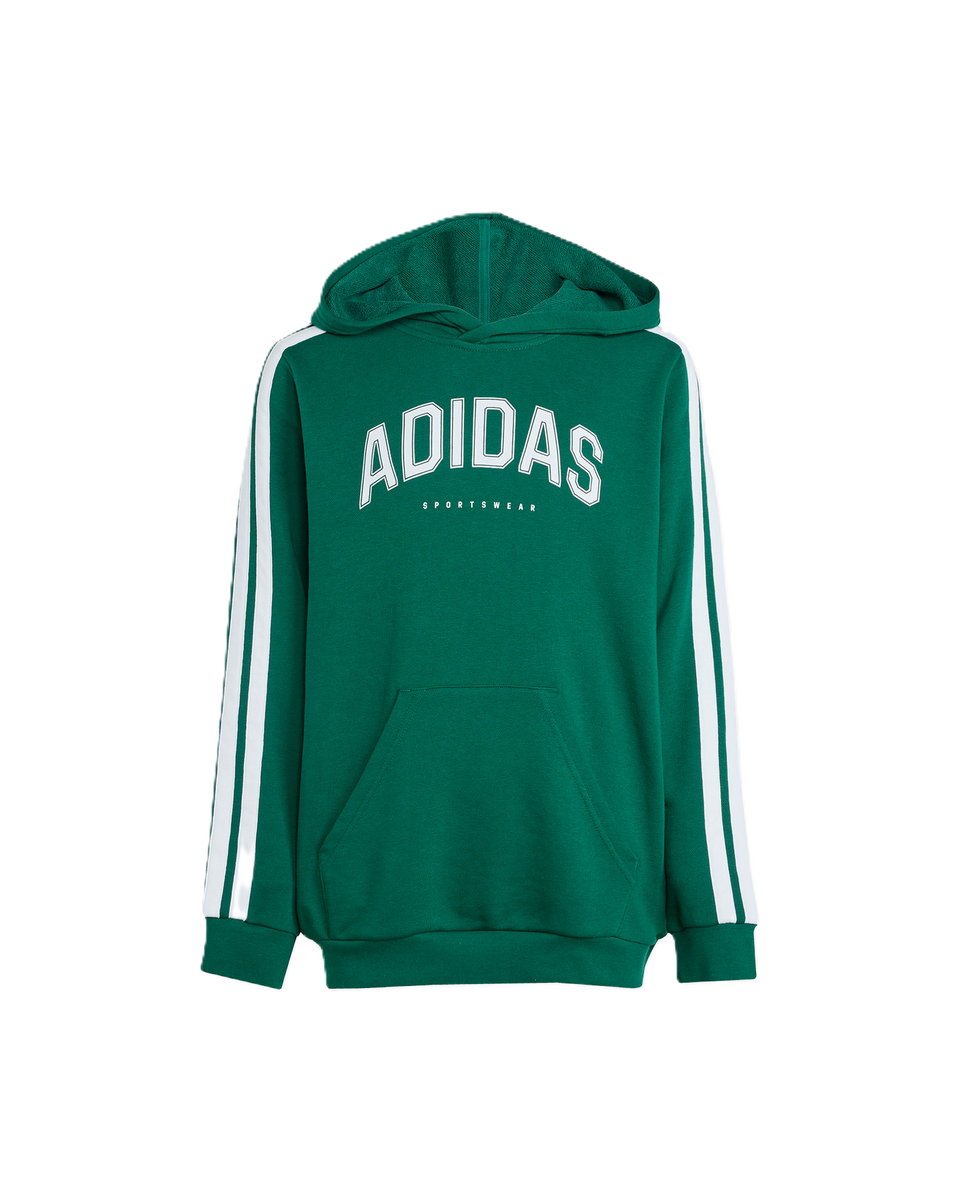 Kids Imported Hoodie
