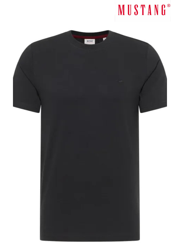 Essentials Men's T-shirt "Austin"