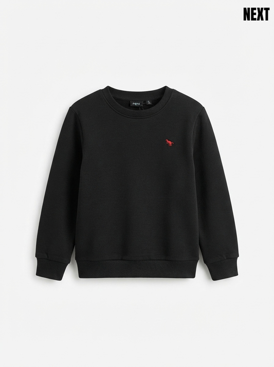 Boys IMPORTED Casual Black Fleece Sweatshirt with Red Dinosaur Embroidery