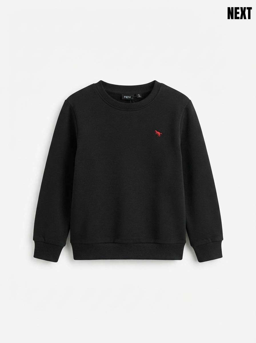 Boys IMPORTED Casual Black Fleece Sweatshirt with Red Dinosaur Embroidery
