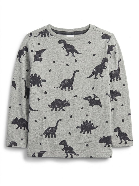 Boys' Long-Sleeve Dinosaur Print T-Shirt – Heather Gray Graphic Crewneck Top