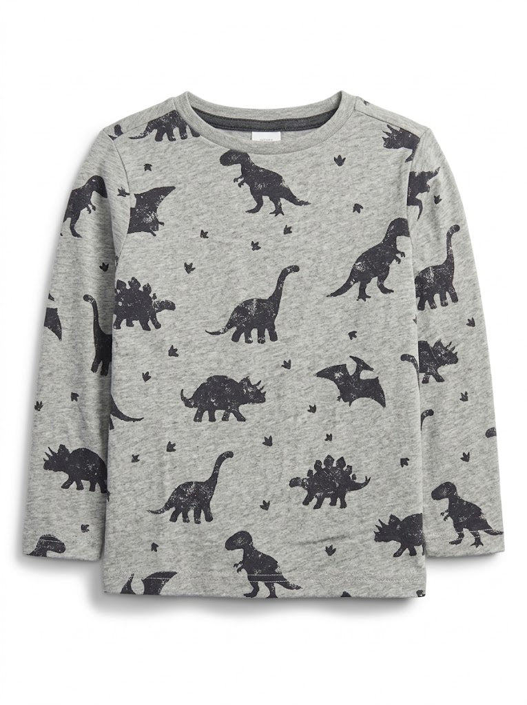Boys' Long-Sleeve Dinosaur Print T-Shirt – Heather Gray Graphic Crewneck Top
