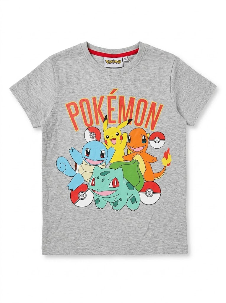 Boys Branded ' Grey Character Graphic Short-Sleeve Cotton Jersey T-Shirt| SM GARMENTS