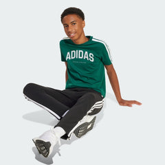 ADIDAS Codes Collegiate Graphic Tee - Smgarment's
