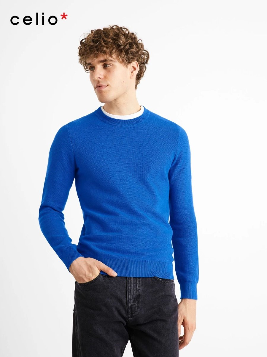 CELIO Bepic Round Neck Sweater - Smgarment's