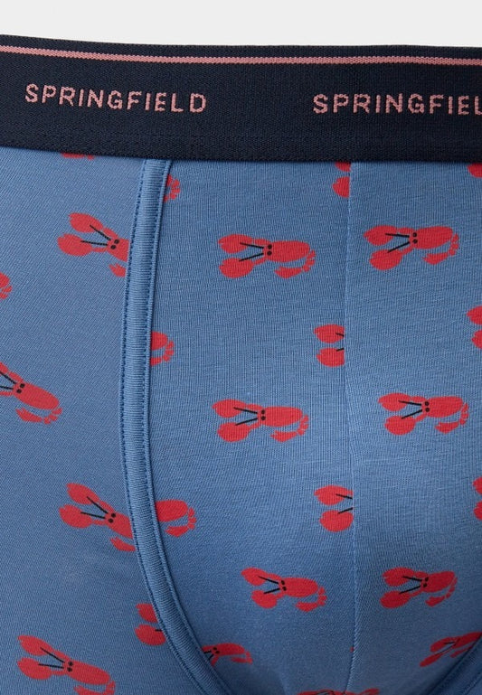 پرنٹ شدہ باکسر شارٹس