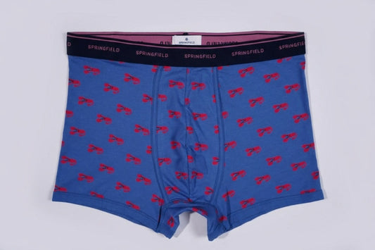 پرنٹ شدہ باکسر شارٹس