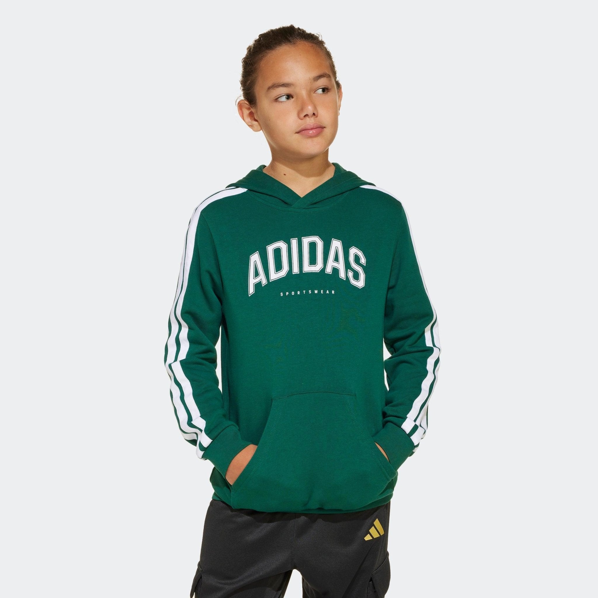 hooded sweatshirt WL SOFTS HOOD - SMgarment's