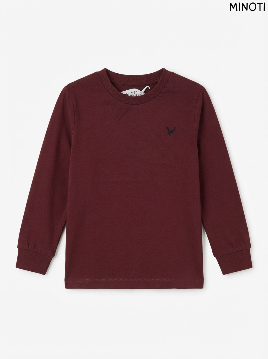 Imported Boy Maroon Embroidered Deer Long-Sleeve T-Shirt